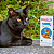 Antipulgas Bravecto Transdermal Gatos 2,8 a 6,25kg 250 mg - Imagem 15