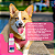 Dermotrat Spray para Cães e Gatos 110 ml Ouro Fino - Imagem 4
