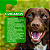 Azicox-2 50mg Antibiótico para Cães e Gatos Ouro fino 6 comprimidos - Imagem 6