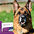 Ativi 40mg Suplemento Alimentar Ourofino 30 comprimidos - Imagem 7