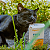 Fiber Active 120grs Suplemento Vitamínico Organnact - Imagem 14