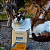 Fiber Active 120grs Suplemento Vitamínico Organnact - Imagem 16