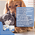 Postbiotic Organnact Suplemento para Cães e Gatos 60g - Imagem 4
