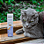 Promun Defense Boost Cat Organnact 3ml - Imagem 8