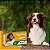 Vermífugo Top Dog para Cães 10kg 4 comprimidos Ouro Fino - Imagem 7