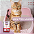 Areia Higiênica Biodegradável Tofu 2kg Lavanda Great Pets - Imagem 3