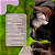 Areia Higiênica Biodegradável Tofu 2kg Lavanda Great Pets - Imagem 5