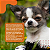 Tapete Higiênico Ultra Secão Carvão Ativado 80x60 Great Pets 30un - Imagem 4