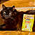 Kit 15 Sachê Ração Úmida Friskies Gatos Adultos Salmão ao Molho 85g - Imagem 9