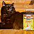 Kit 15 Sachê Ração Úmida Friskies Gatos Adultos Peru ao Molho 85g - Imagem 8
