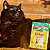 Kit 15 Sachê Ração Úmida Friskies Gatos Adultos Atum ao Molho 85g - Imagem 9
