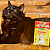 Kit 15 Sachê Ração Úmida Friskies Gatos Adultos Frango ao Molho 85g - Imagem 10