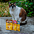 Kit 30 Sachê Ração Úmida Friskies Gatos Adultos Carne ao Molho 85g - Imagem 11