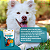 Fitodent Dog Sticks Organnact para Cães 160 g - Imagem 3
