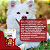 Zero Dog Sticks Plus Organnact  160 g - Imagem 3