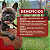 Zero Dog Sticks Plus Organnact  160 g - Imagem 5
