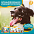 Suplemento Vitamínico Organnact Ômega 3 Dog para Cães C/90 Comprimidos – 500mg + Brinde - Imagem 8