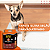Tapete Higiênico Ultra Secão Carvão Ativado 80x60 Great Pets 30un + Brinde - Imagem 4