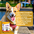 Calmantes Para Cães Calmyn & Susse Dog Organnact - 15g + Brinde - Imagem 4