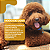 Eritrós Dog Tabs 18g 30 Comprimidos Vitamina - Organnact + Brinde - Imagem 7