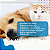 Suplemento Agener União Procart Flex para Cães e Gatos 40 Cápsulas + Brinde - Imagem 6