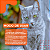 Mirtz para Gatos – Estimulante de Apetite 2mg | 12 Comprimidos + Brinde - Imagem 6