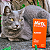 Mirtz para Gatos – Estimulante de Apetite 2mg | 12 Comprimidos + Brinde - Imagem 9