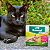 Vermífugo Drontal Spot-On para Gatos 5 a 8kg – 1 Bisnaga de 1,12ml - Imagem 13
