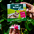 Vermífugo Drontal Spot-On para Gatos 5 a 8kg – 1 Bisnaga de 1,12ml + Brinde - Imagem 12