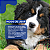 Promun Defense Boost Dog Compre 2 Leve 3 Organnact 9ml + Brinde - Imagem 10