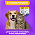 Promun Defense Boost Dog Compre 2 Leve 3 Organnact 9ml + Brinde - Imagem 12