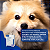 Cyclavance 100mg para Cães Virbac 15 ml + Brinde - Imagem 3