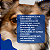 Cyclavance 100mg para Cães Virbac 15 ml + Brinde - Imagem 5