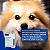 Cyclavance 100mg para Cães Virbac 30 ml + Brinde - Imagem 3