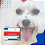 Milteforan 30ml Virbac + Coleira Seresto Pequena - Imagem 8