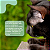 Brinquedo Abacate com Rolo de Catnip 100% Natural para Gatos – Avocatnip Jambo - Imagem 6