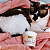 Lenço Limpa Olhos Great Pets para Cães e Gatos Eyes Clean Buddy – Higiene Ocular Prática - Imagem 13