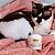 Lenço Limpa Olhos Great Pets para Cães e Gatos Eyes Clean Buddy – Higiene Ocular Prática - Imagem 15