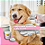 Lenço Limpa Olhos Great Pets para Cães e Gatos Eyes Clean Buddy – Higiene Ocular Prática - Imagem 4