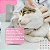 Lenço Limpa Olhos Great Pets para Cães e Gatos Eyes Clean Buddy – Higiene Ocular Prática - Imagem 5