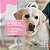 Lenço Limpa Olhos Great Pets para Cães e Gatos Eyes Clean Buddy – Higiene Ocular Prática - Imagem 6