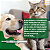 Probiot Pet Suplemento Vitamínico com Probióticos para Cães e Gatos – 13 ml - Imagem 6
