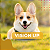 Vision Up Dog Suplemento Vitamínico Antioxidante para Cães Adultos – 30 Tabletes - Imagem 9