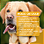 Pelefood Dog Suplemento Vitamínico para Pele e Pelagem de Cães – Pó Palatável 300 g - Imagem 6