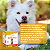Rennapro Dog Suplemento Vitamínico Aminoácido para Cães – Pó Palatável 120 g - Imagem 5