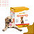 Rennapro Dog Suplemento Vitamínico Aminoácido para Cães – Pó Palatável 120 g - Imagem 10