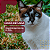 Lactobac Cat Plus Suplemento com Probióticos e Prebióticos para Gatos – Gel Oral 12 ml - Imagem 7
