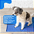 Tapete Gelado para Pets Great Fresh – Refrescante com Gel Ativado por Peso - Imagem 10