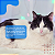 Tapete Gelado para Pets Great Fresh – Refrescante com Gel Ativado por Peso - Imagem 12