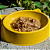 Kit 45 Sachês Friskies Purina Frango ao Molho Para Gatos Adultos 3 Caixas - Imagem 3